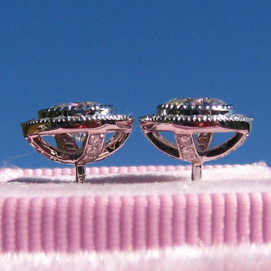 Luxurious Earrings
